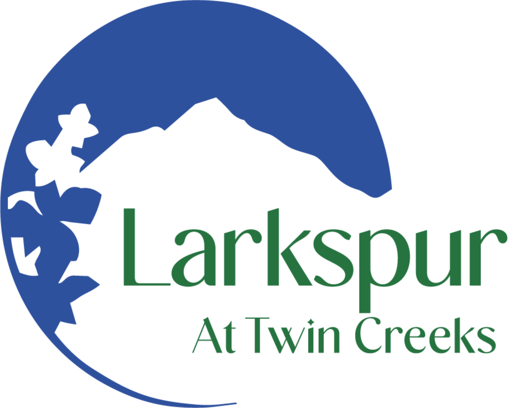 Larkspur at Twin Creeks Home